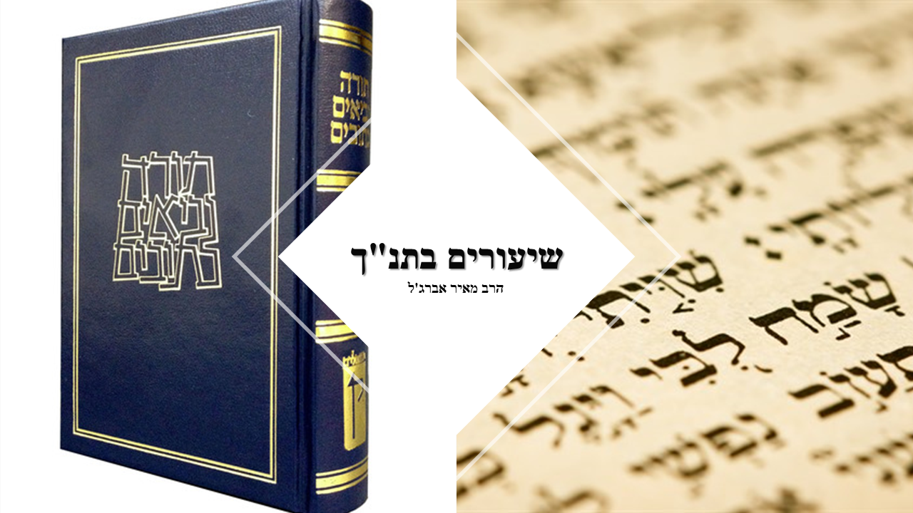שיעורים בתנך הרב מאיר