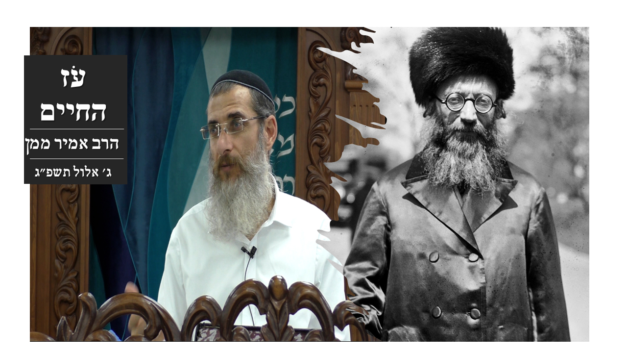 תמונה לשיעור עוז החיים 2